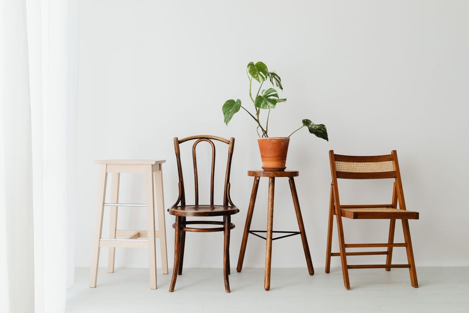 Minimalist interior with wooden chairs and a potted swiss cheese plant against a white wall.